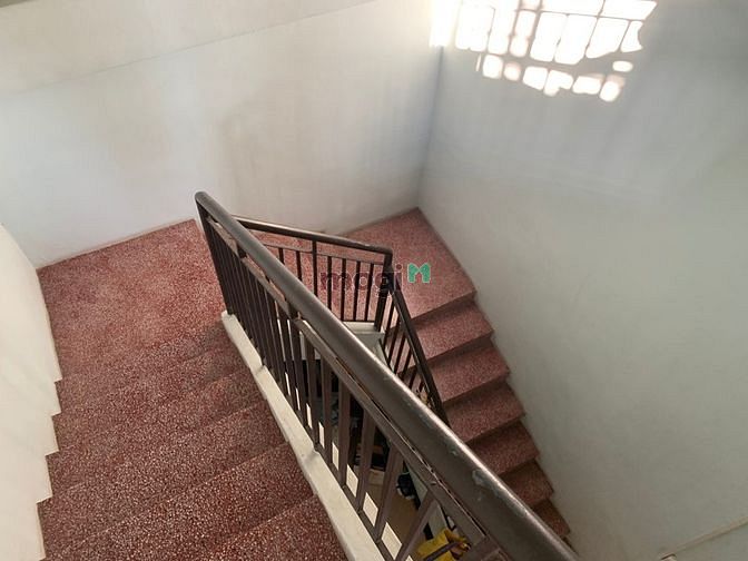 3911018 ảnh đại diện 2