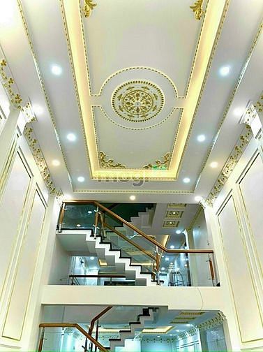 3910994 ảnh đại diện 1