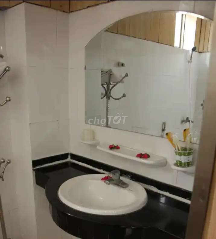3909607 ảnh đại diện 2