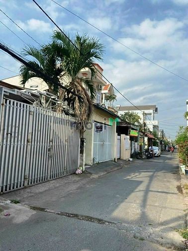 3911019 ảnh đại diện 1