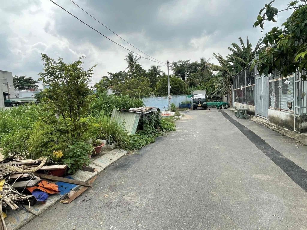 3908383 ảnh đại diện 1