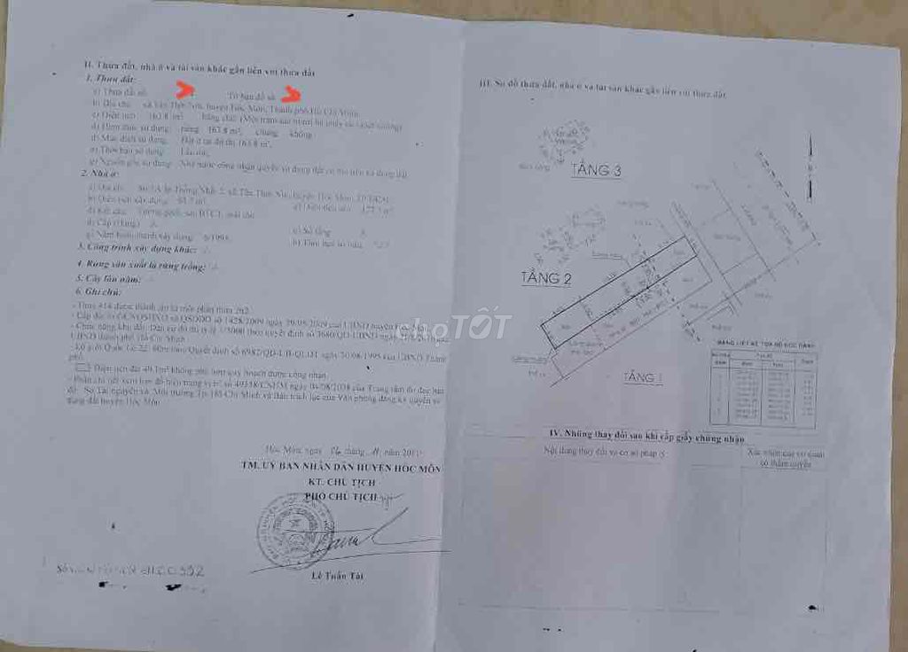3911249 ảnh đại diện 2