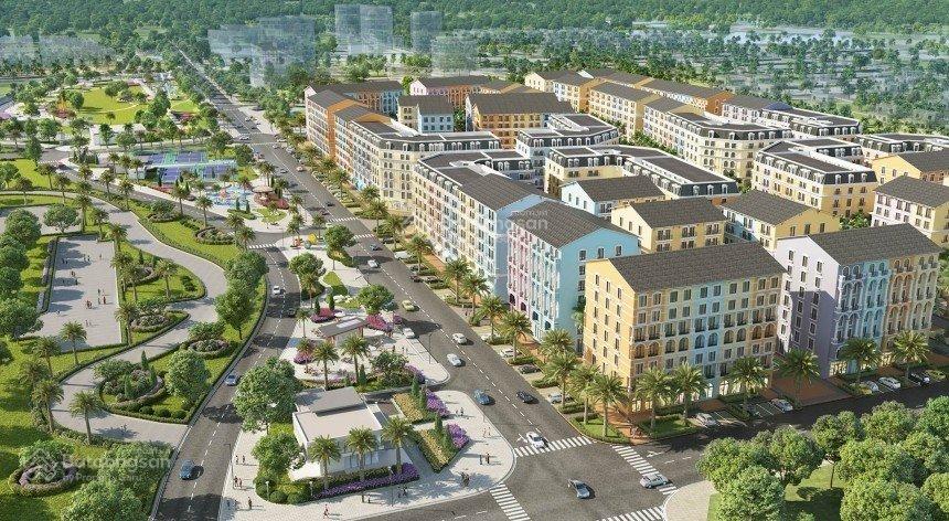 3909780 ảnh đại diện 1