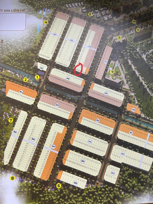 3910979 ảnh đại diện 1