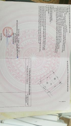 3911862 ảnh đại diện 1