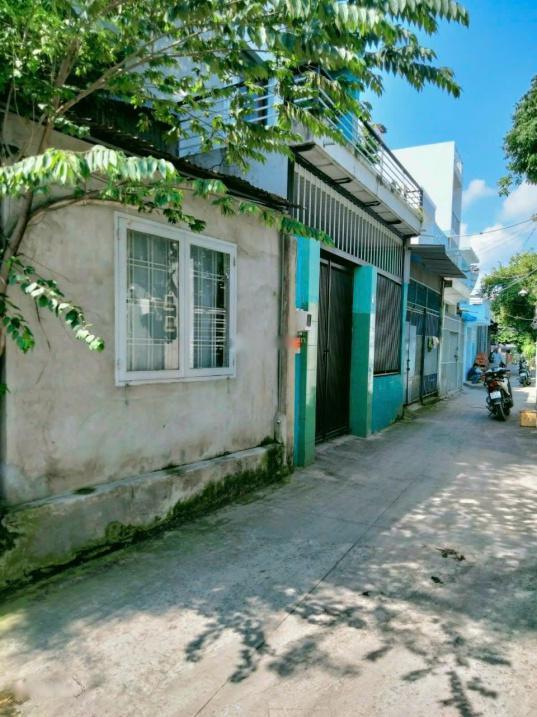 3913279 ảnh đại diện 1