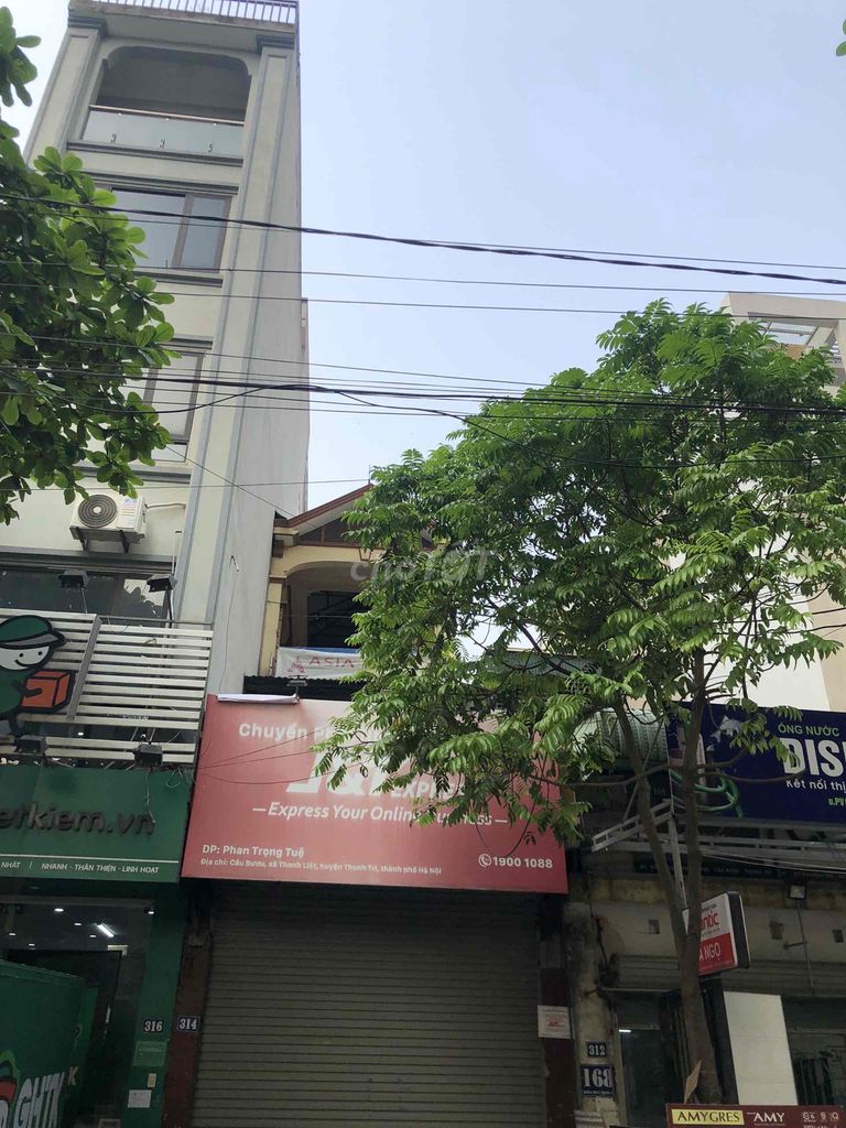 3912622 ảnh đại diện 1