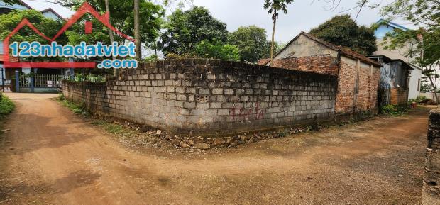 3911862 ảnh đại diện 1