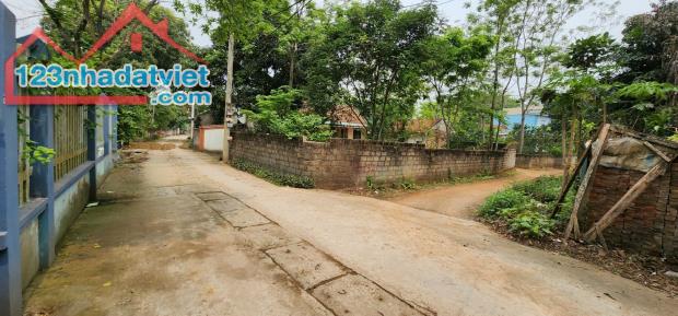 3911862 ảnh đại diện 2