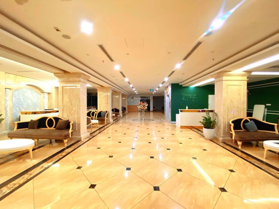 3914776 ảnh đại diện 1