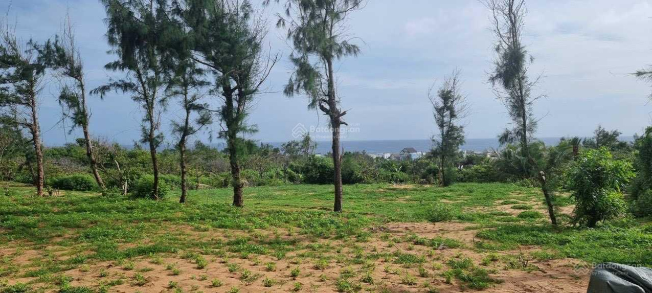 3913433 ảnh đại diện 1