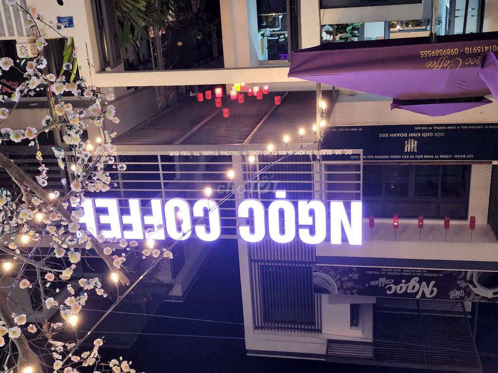 3912992 ảnh đại diện 1