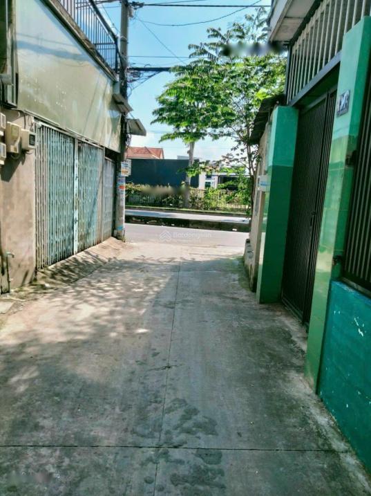 3913279 ảnh đại diện 2