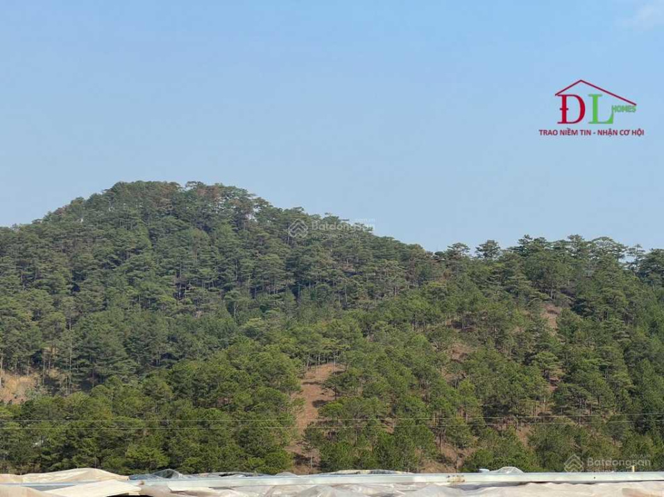 3920466 ảnh đại diện 1