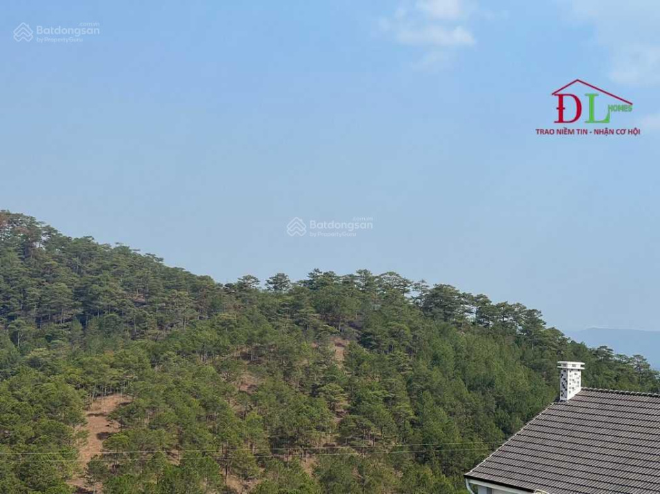 3920466 ảnh đại diện 2