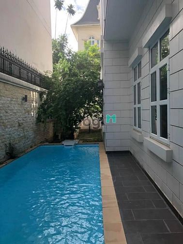 3920490 ảnh đại diện 1