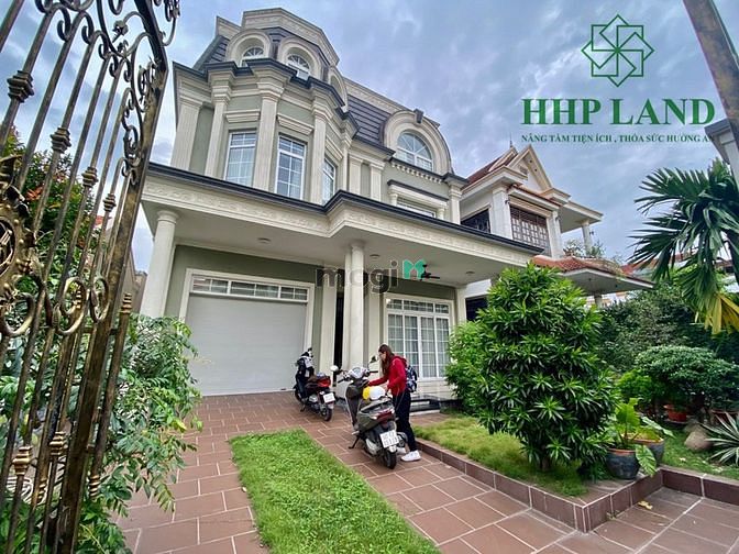 3916570 ảnh đại diện 1