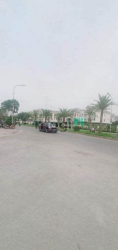 3918195 ảnh đại diện 1