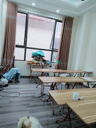 3918193 ảnh đại diện 1
