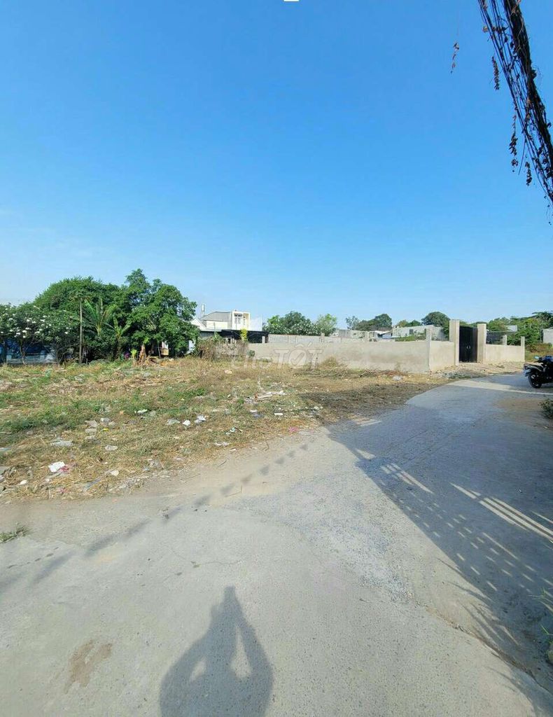 3916506 ảnh đại diện 1