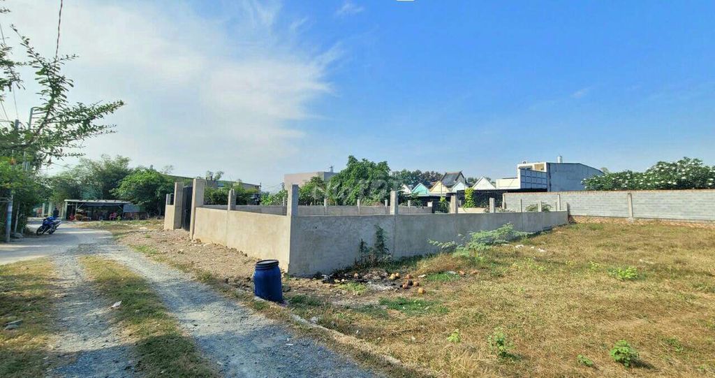 3916506 ảnh đại diện 1