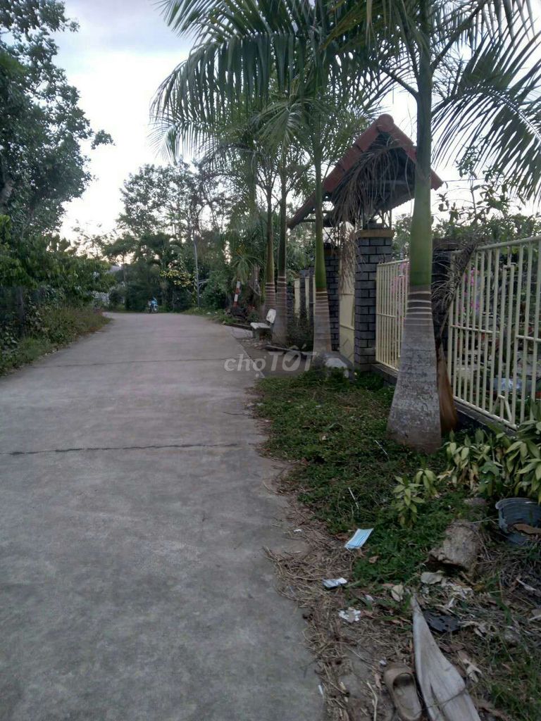 3916506 ảnh đại diện 2
