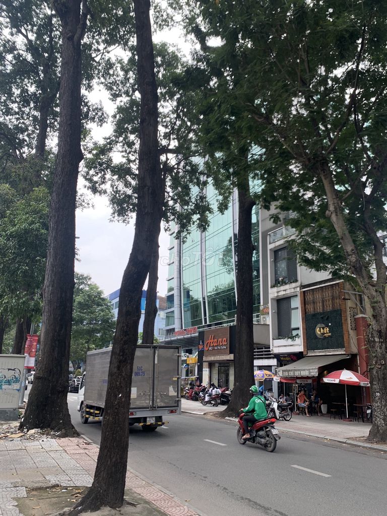 3923770 ảnh đại diện 1
