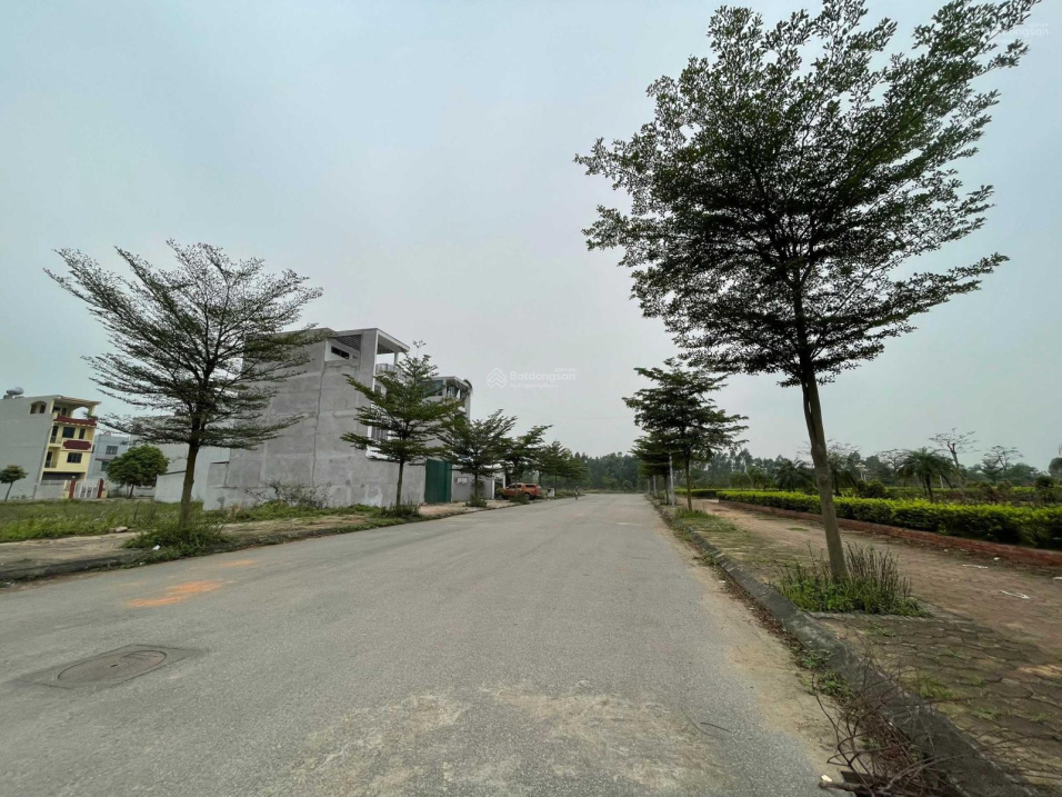 3921058 ảnh đại diện 1