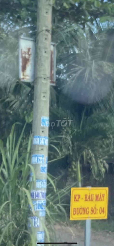 3922775 ảnh đại diện 2