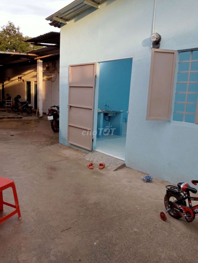 3925556 ảnh đại diện 2