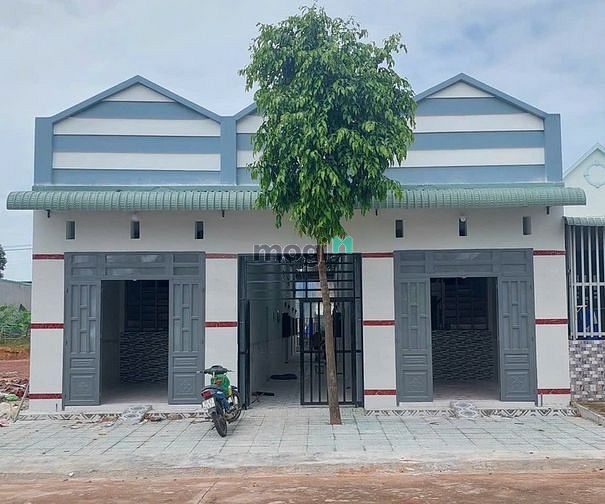 3920701 ảnh đại diện 1