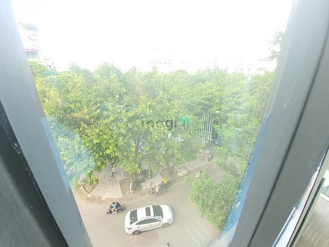 3924139 ảnh đại diện 1