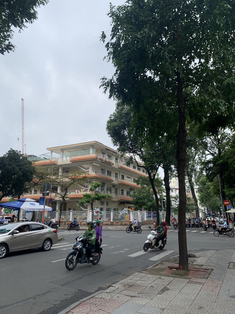 3923770 ảnh đại diện 2
