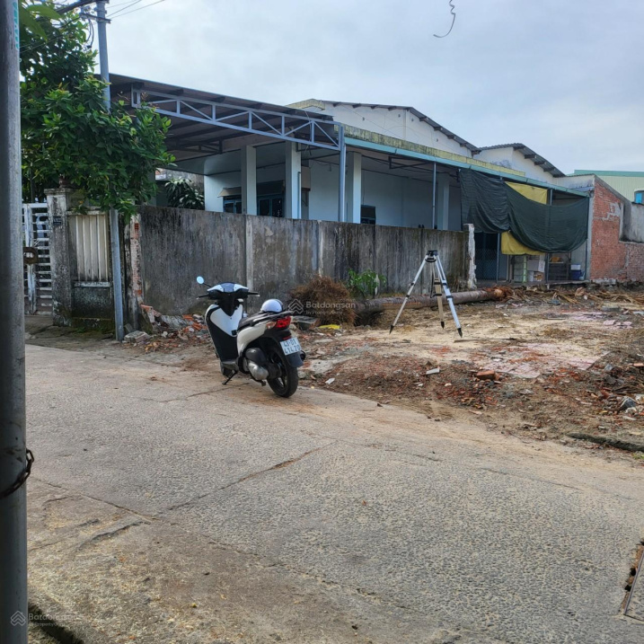 3924564 ảnh đại diện 2