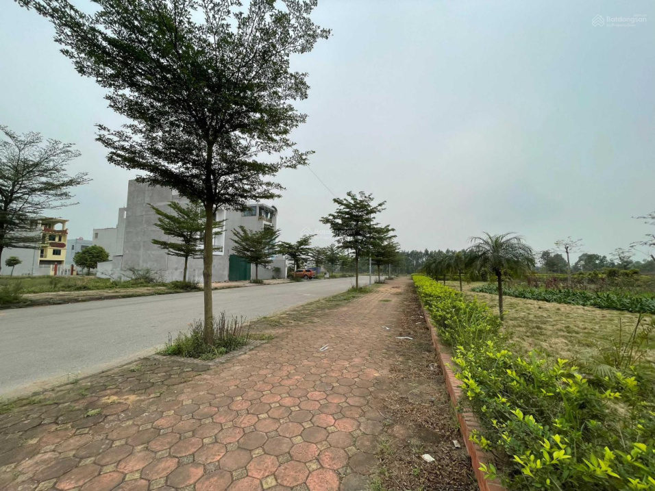 3921058 ảnh đại diện 1