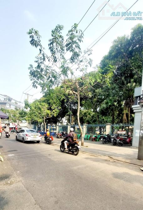 3921549 ảnh đại diện 1