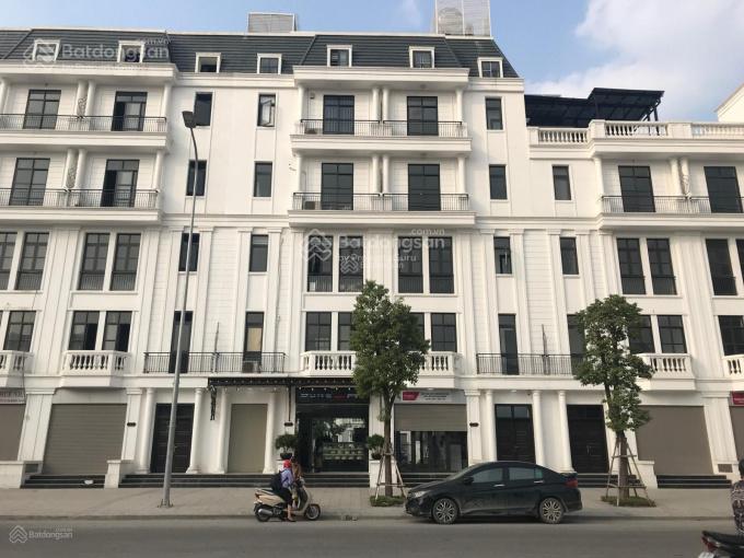 3928532 ảnh đại diện 1