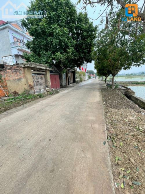 3927484 ảnh đại diện 2