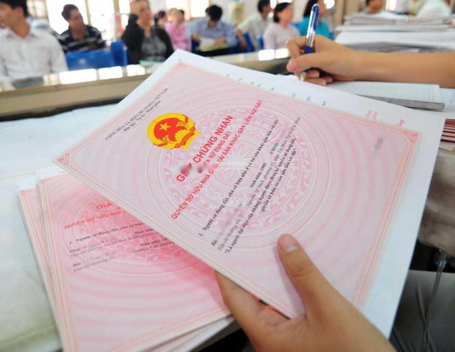 3932439 ảnh đại diện 1
