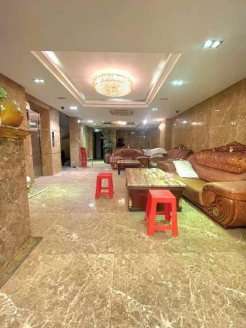 3933313 ảnh đại diện 2