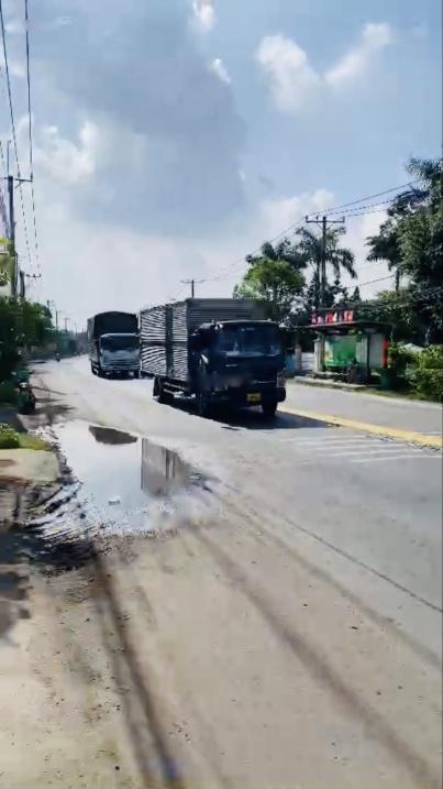 3933649 ảnh đại diện 1
