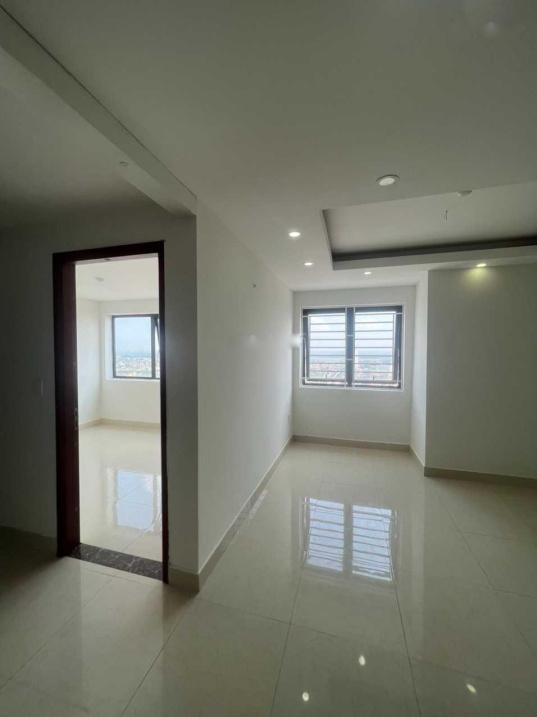 3932442 ảnh đại diện 1