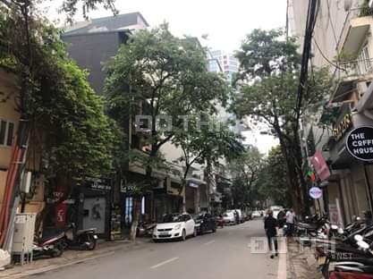 3933292 ảnh đại diện 1