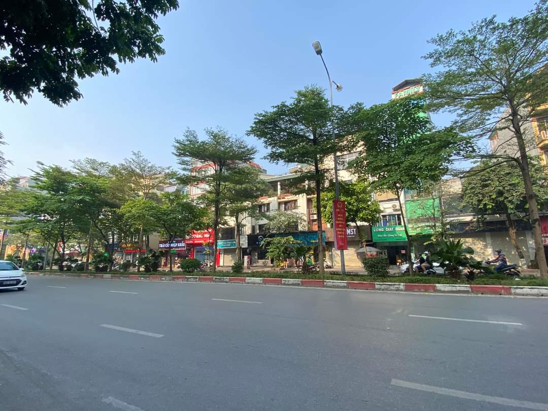 siêu VIP ! mặt phố trần thái tông 295m MT 12.8m vỉ hè đá bóng KD đỉnh.