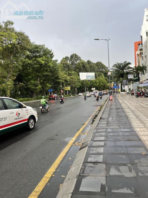 3934372 ảnh đại diện 1