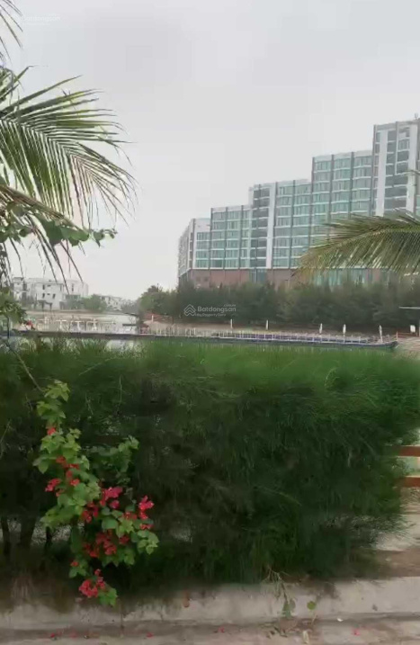 3937808 ảnh đại diện 2