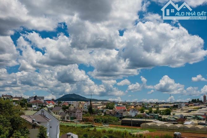 3933960 ảnh đại diện 1