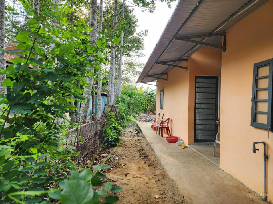3934249 ảnh đại diện 1