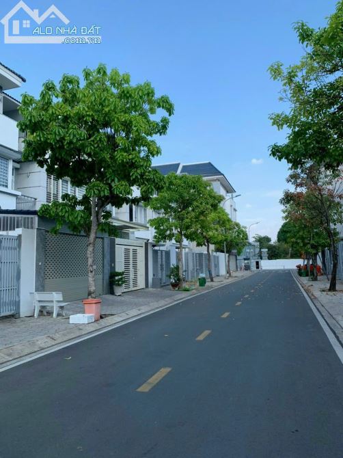 3934912 ảnh đại diện 1