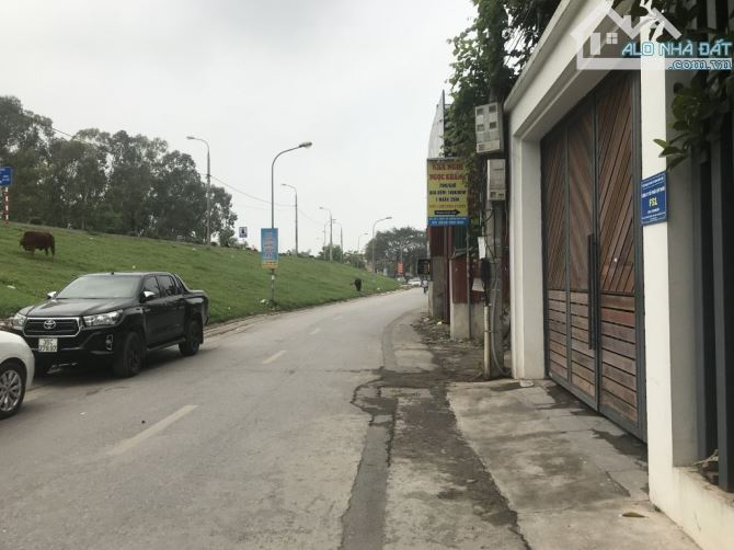 3933854 ảnh đại diện 2